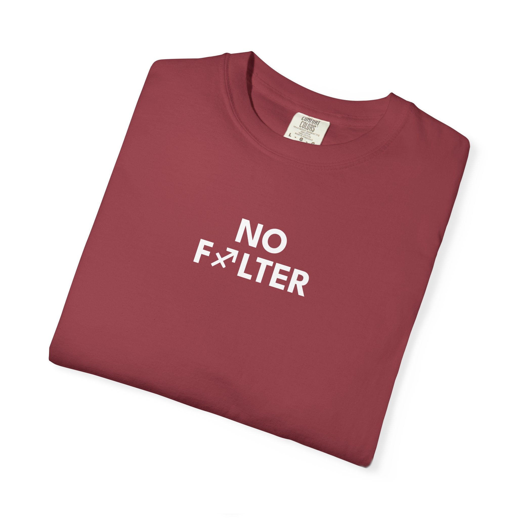 No Filter – Sagitarius Birthday Unisex T-Shirt